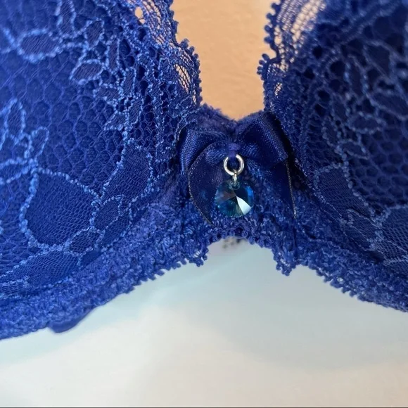 Lise Charmel Lace Floral Embroidered Blue Bra 34 C - Picture 4 of 10